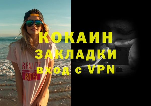 стаф Дмитриев