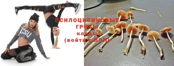 стаф Дмитриев