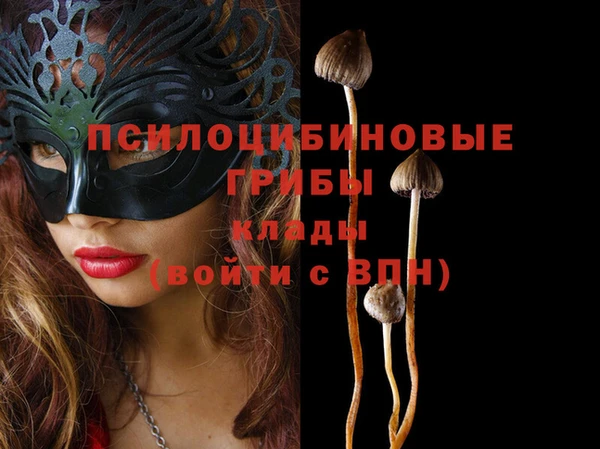 MDMA Premium VHQ Ельня