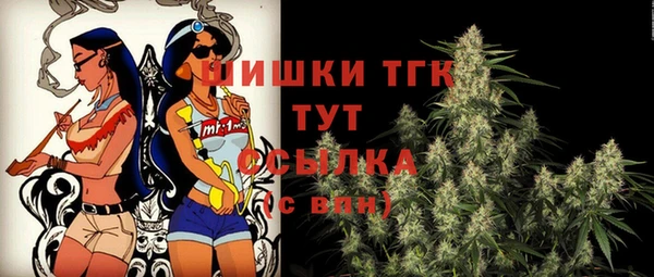 мдпв Дмитровск
