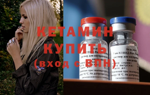 стаф Дмитриев